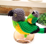 《mozuｰmozuｰ28様オーダー品》ネズミガシラハネナガインコ2羽