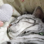 ミミューちゃんママさんオーダー品　特大マタタビおもちゃハート型　グレー