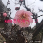 ハーバリウムボールペン