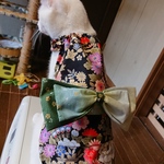 猫用 シュシュタイプ着物 限定販売