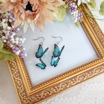 【オーダーのお品】二連 モルフォ蝶のピアス。チタン仕様。蝶々ピアス。