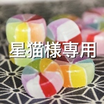 星猫様専用