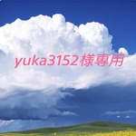 ～yuka3152様専用～