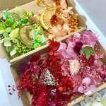 フルーツバスケット ハーバリウム花材セット 押しフルーツ入り
