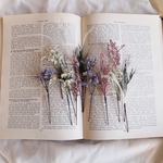 【order page】mitan206さま