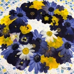 ♡new♡ 送料無料！¥1250 ♡たっぷり押し花セット♡