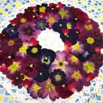 ♡new♡ 送料無料！¥1640 ♡たっぷり押し花セット♡