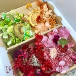 押しフルーツで作るハーバリウム花材セット