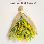 ＊accochinmi様 専用ページ＊