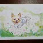 【ayayamomo様オーダー品】愛犬イラスト