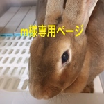 m様専用ページ