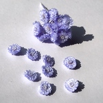 【プラスチックケース入   約45個】ブルーパープル　ハーバリウムやレジンに