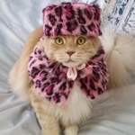 ロシアンにゃんこ(レオパードピンク)