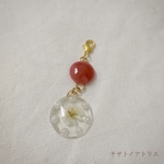 ※オーダー品