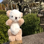 テディベア（ツートンカラー）