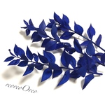 ラスカス 海