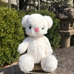 テディベア（ホワイト）