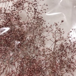 amaemi様専用セミオーダー