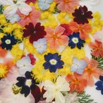 🌼再販🌼大好評お買い得小花セット🌼50輪