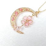  2019年大人気！Cherry Blossoms～桜