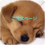 ゆちくん様  ご注文品