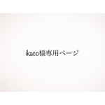 ❁専用ページ❁ikaco様