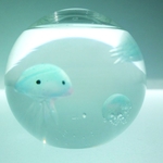 ぷちアクアリウム　くらげちゃん　ボール型　a