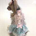 犬服オーダー　★スタンドパステルカラーワンピース★