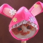ラブリーうさぎ🐰