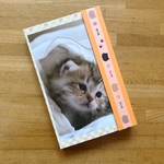 おすそ分けファイル ねこ