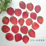 【花たいむ様専用】訳あり 小さめイチゴ🍓(20枚)ハートイチゴ&ブルーベリー付き
