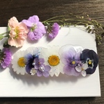 ビオラ❤︎ノースポール❤︎  バレッタ