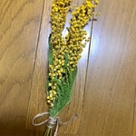 ミモザのドライフラワーふた枝