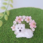 ウエストハイランドホワイトテリアと桜のリングブローチ