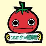 【専用ページ】