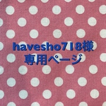 ☆havesho718様専用ページ☆