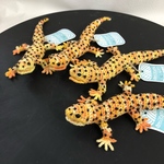 再販あみぐるみヒョウモントカゲモドキ