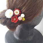 nt様専用ページ　