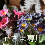 ｒさま専用です⑅◡̈*