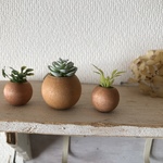 コロコロ植木鉢3個セット