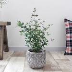 s さま専用オーダーページ