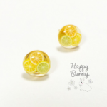 【送料無料】再販‼︎フルーツタルトピアス  シトラス☆オレンジ＊ライム＊レモン