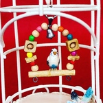 《受注制作》ゆらりん インコ いつも一緒だよ ネックレスのみ（セキセイインコ ） 