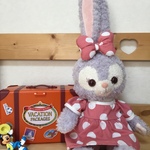 ステラルーちゃん コスチューム シュシュ付き