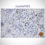 ◆ryuma1103様 専用オーダーページ◆