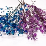 週末限定 かすみ草 プリザーブド 花材  5