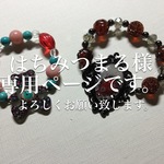 はちみつまる様専用ページ