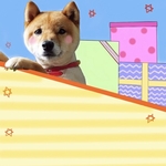 🆕【69】『小太郎くん』1種10枚入