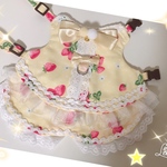 ✩.*˚  イチゴ柄イエロー鈴付きハーネス  ✩.*˚