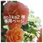 ao1ka2様 専用ページ